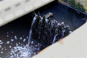 Remember That Every Drop Counts!  1